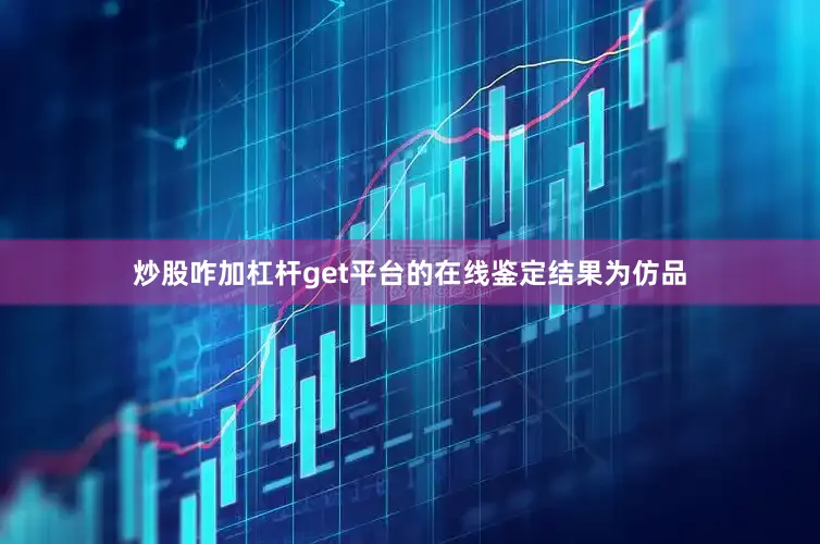 炒股咋加杠杆get平台的在线鉴定结果为仿品