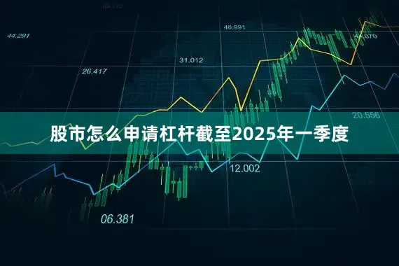 股市怎么申请杠杆截至2025年一季度